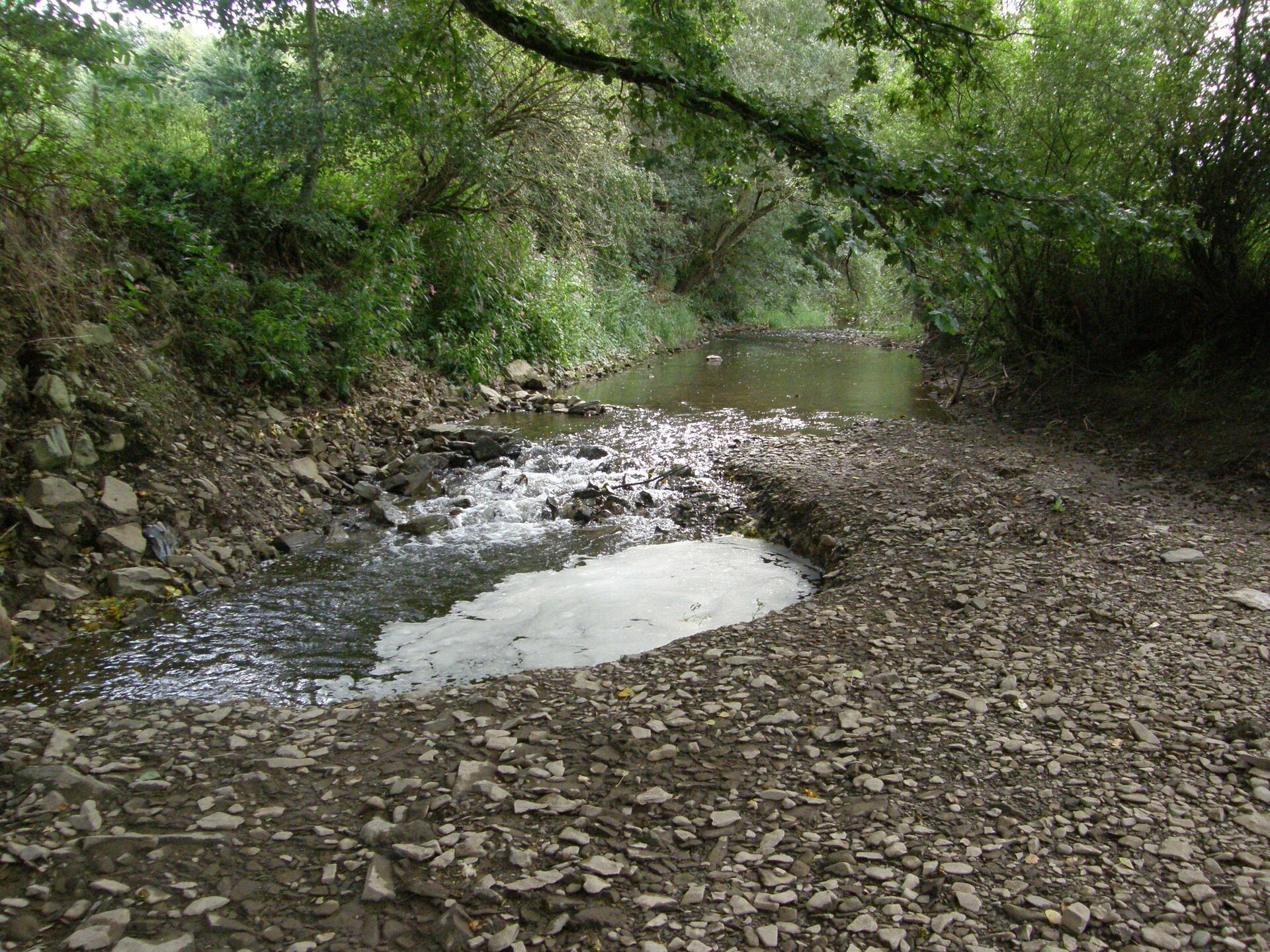 Na ilustracji przedstawiono rzekę i jej miejsce zanikania czyli ponor. Zanika ona w warstwach krasowiejących skał. Wokół widoczne są kamieniste, wysuszone brzegi. Nad rzeką rosną drzewa, krzewy.