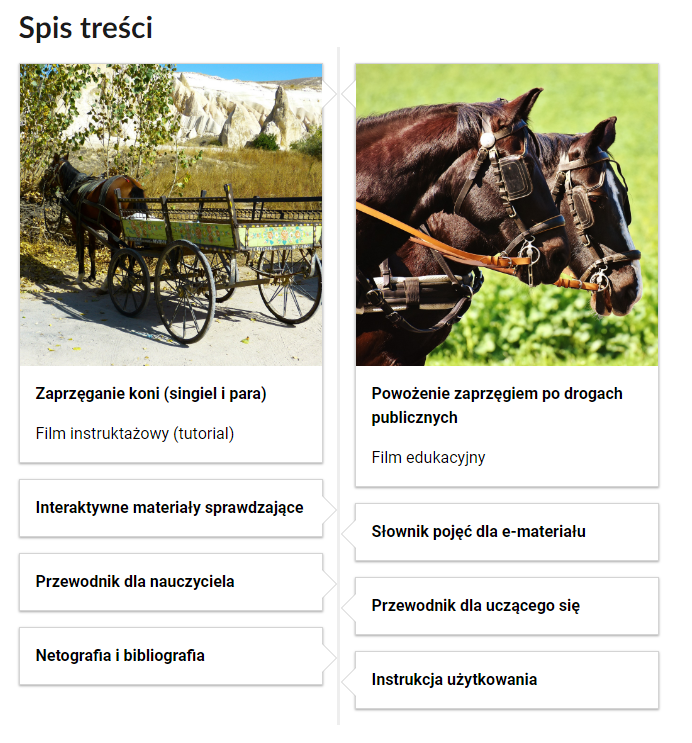 Grafika przedstawia fragment spisu treści tej lekcji. Przedstawiono osiem kafelków. Na dwóch z nich umieszczono tytuł materiału, jego rodzaj oraz ilustrację powiązaną z jego tematem. Pozostałe kafelki nie posiadają grafiki. Pierwszy kafelek zatytułowano: Zaprzęganie koni (singiel i para). Film instruktażowy (tutorial). Posiada on ilustrację przedstawiającą wóz z zaprzęgniętym koniem. Drugi kafelek zatytułowano: Powożenie zaprzęgiem po drogach publicznych. Film edukacyjny. Posiada on ilustrację przedstawiającą zbliżenie na głowy dwóch koni z założonym ogłowiem. Trzeci kafelek zatytułowano: Interaktywne materiały sprawdzające. Czwarty kafelek zatytułowano: Słownik pojęć dla e‑materiału. Piąty kafelek zatytułowano: Przewodnik dla nauczyciela. Szósty kafelek zatytułowano: Przewodnik dla uczącego się. Siódmy kafelek zatytułowano: Netografia i bibliografia. Ósmy kafelek zatytułowano: Instrukcja użytkowania. 