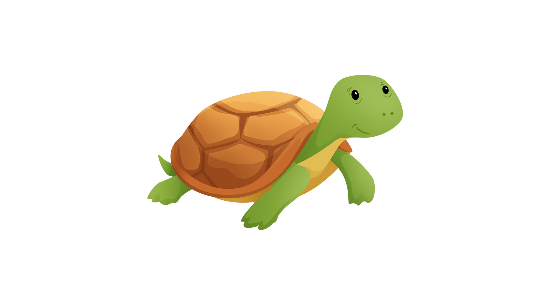Ilustracja przedstawia żółwia.