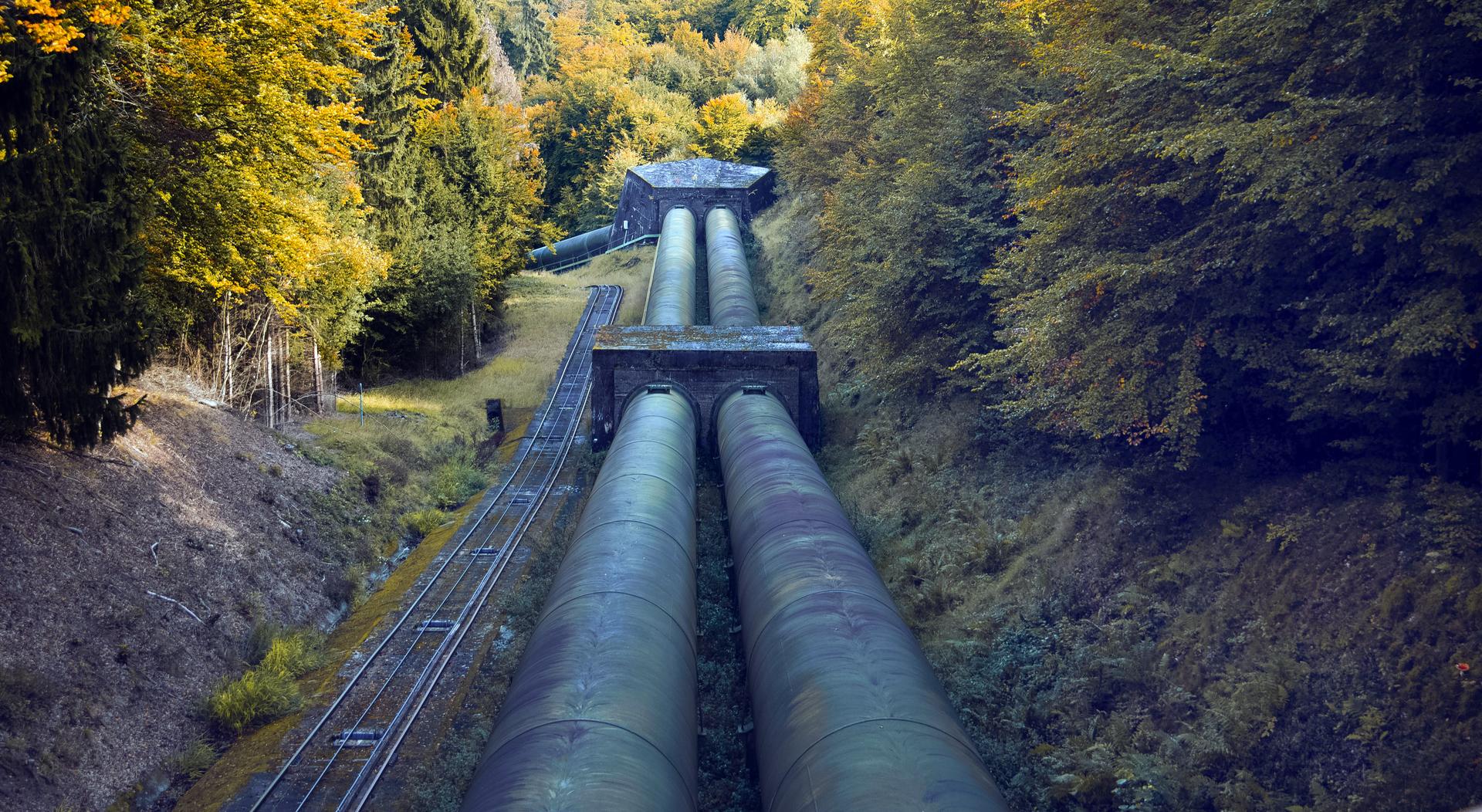 Zdjęcie przedstawia rurociąg. Widoczne są dwie grube rury biegnące po ziemi przez las.