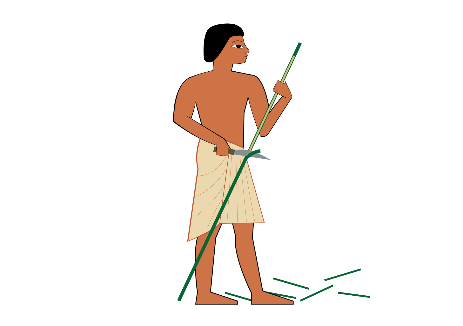 Na ilustracji jest Egipcjanin ubrany w szendit, czyli białą, sięgającą kolan, spódnicę, w prawej ręce trzyma nóż, którym obiera łodygę papirusu.  