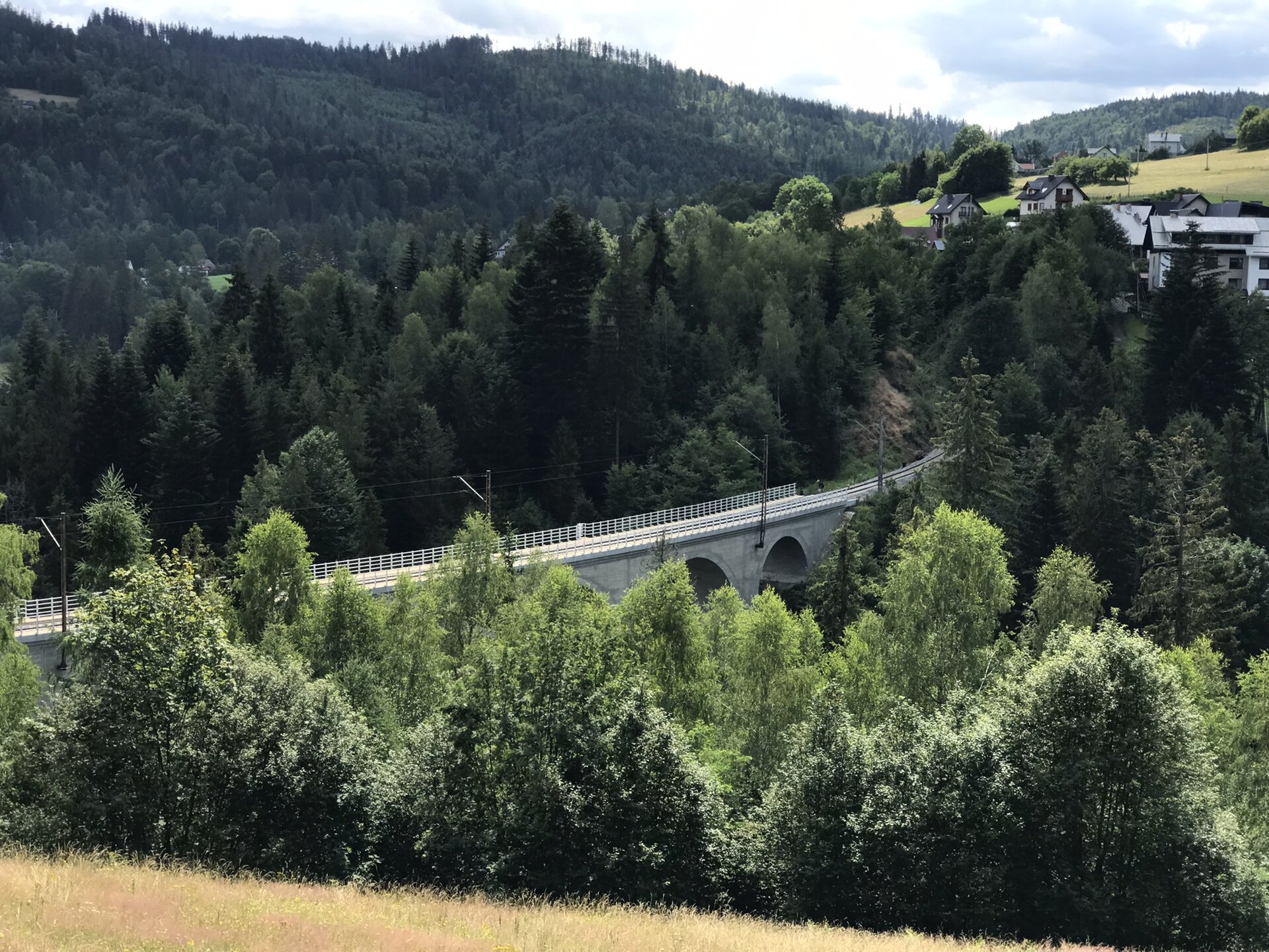  Zdjęcie przedstawia most łukowy z oddali, z lotu ptaka. Ujęcie ukazuje most z boku, gdzie widoczne są filary stanowiące podporę dla przęseł oraz wyraźnie zaznaczone łuki oparte na filarach.