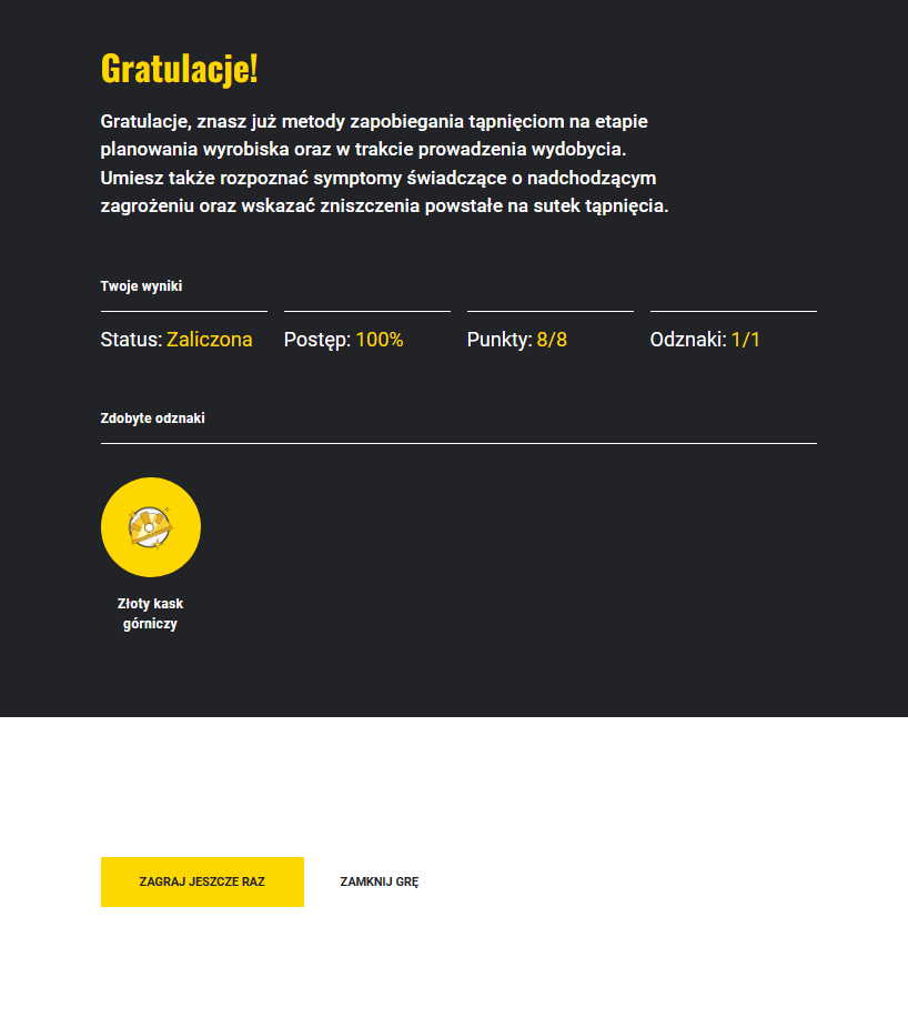 Przykładowy ekran podsumowujący grę