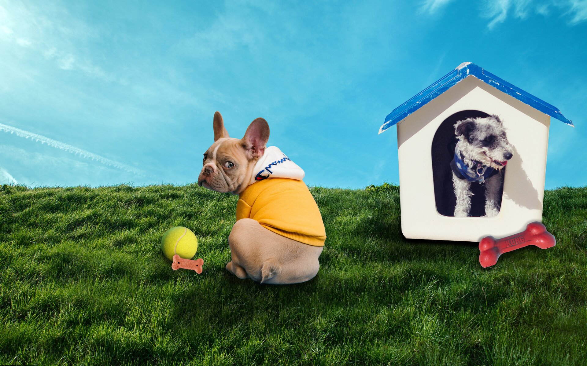 Sprawd Si Zintegrowana Platforma Edukacyjna Sprawd Si Zintegrowana Platforma Edukacyjna