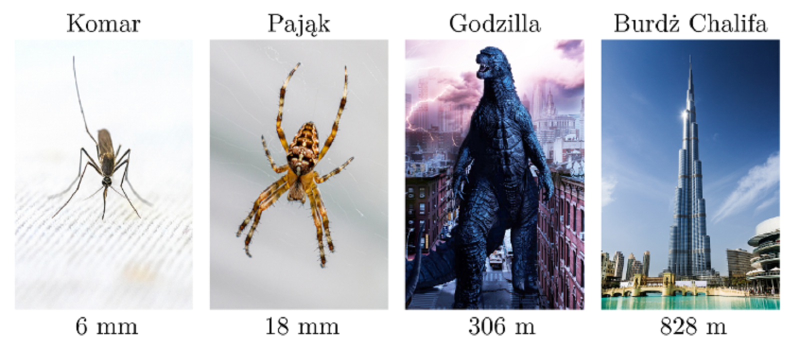 Ilustracja składa się z czterech części. Na pierwszej komar, pod spodem napis: sześć milimetrów. Na drugiej pająk, pod spodem napis: osiemnaście milimetrów. Na trzeciej Godzilla, pod spodem napis: trzysta sześć metrów. Na czwartej Burdż Chalifa (wieżowiec w Dubaju), pod spodem napis: osiemset dwadzieścia osiem metrów.