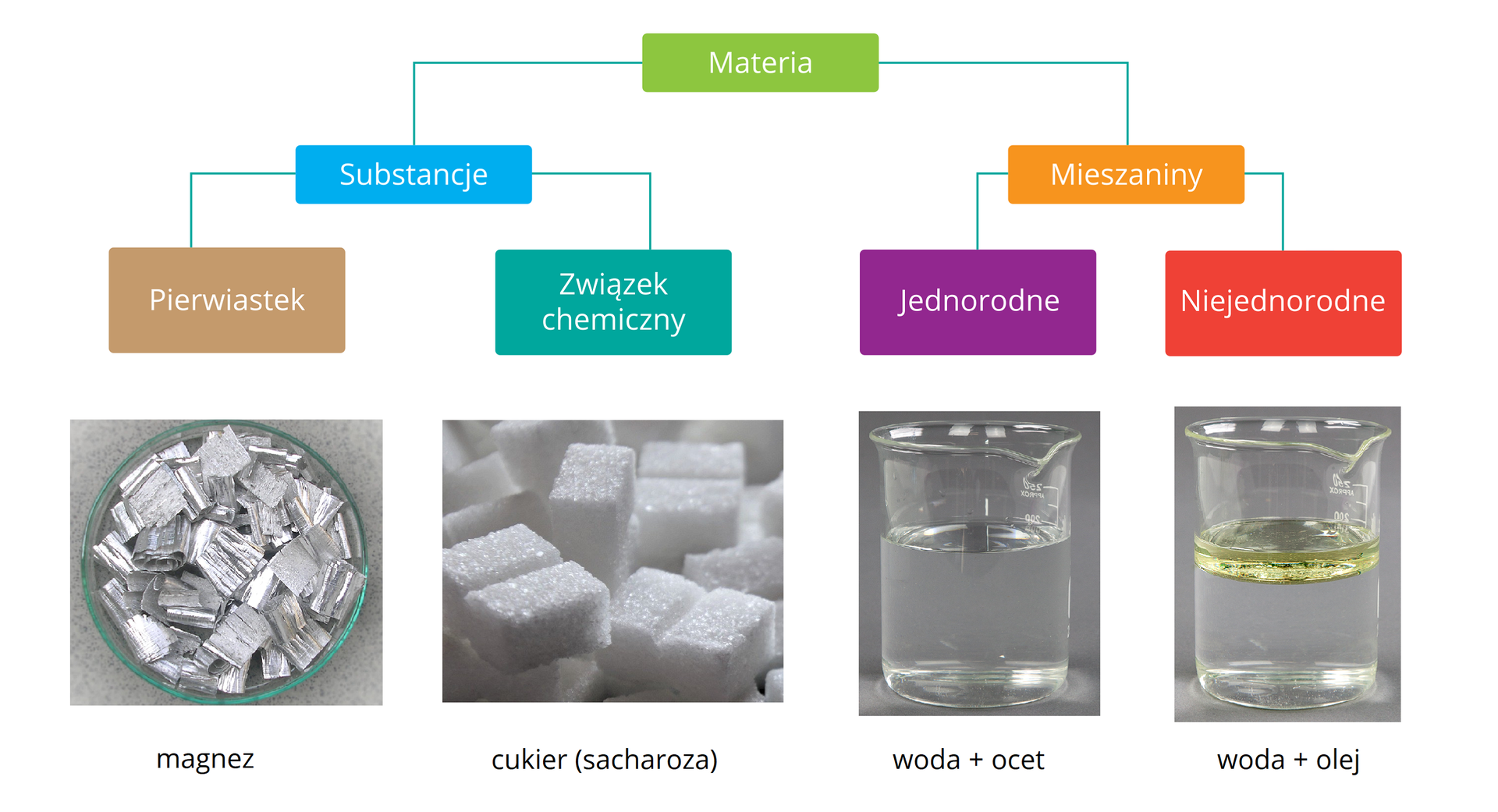 Schemat przedstawiający kryteria podziału materii. Wynika z niego, że materię można podzielić na substancje i mieszaniny. Substancje dzielą się na pierwiastki i związki chemiczne, a mieszaniny na jednorodne i niejednorodne. Każdej z czterech grup przyporządkowany jest rysunek ilustrujący wygląd i rozmieszczenie cząstek w danym typie materii. Pierwiastek: szklana miseczka wypełniona wiórkami magnezu; związek chemiczny: ułożone na sobie białe kostki cukru; mieszaniny jednorodne: zlewka zawierająca wodę zmieszaną z octem; mieszaniny niejednorodne: zlewka z wodą i warstwą oleju.