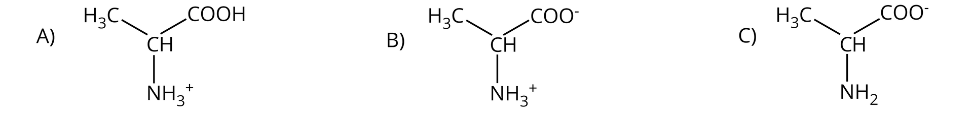 Ilustracja przedstawia trzy wzory półstrukturalne A, B i C. Wzór A. Do atomu węgla przyłączone są poprzez wiązania pojedyncze: atom wodoru, grupa metylowa, grupa karboksylowa oraz grupa    −               N       H                 3                            +         . Wzór B. Do atomu węgla przyłączone są poprzez wiązania pojedyncze: atom wodoru, grupa metylowa, grupa    −               C       O       O                 −           oraz grupa    −               N       H                 3                            +         . Wzór C. Do atomu węgla przyłączone są poprzez wiązania pojedyncze: atom wodoru, grupa metylowa, grupa    −               C       O       O                 −           oraz grupa aminowa.