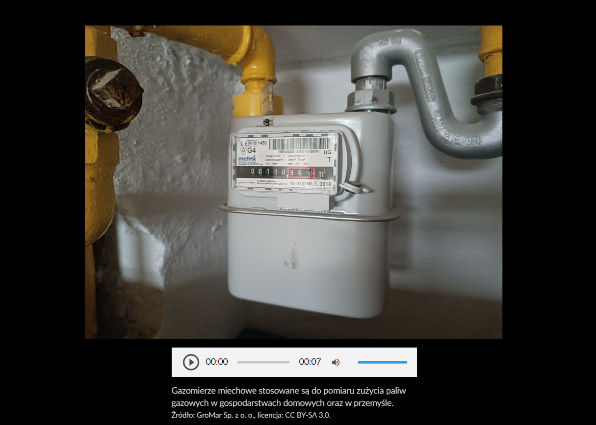 Zdjęcie przedstawia przykładową grafikę z galerii zdjęć z rozwiniętym opisem. U dołu zdjęcia widoczny jest biały pasek, na którym po lewej stronie znajduje się ikona trójkąta skierowanego wierzchołkiem w prawo, czyli ikona włączenia odtwarzania filmu.  Po środku umiejscowiono pasek postępu nagrania oraz jego czas, a po prawej stronie symbol głośnika i niebieski pasek, za pomoca którego można regulować głośność. Pod zdjęciem i białym paskiem wyświetlony jest opis tego zdjęcia.