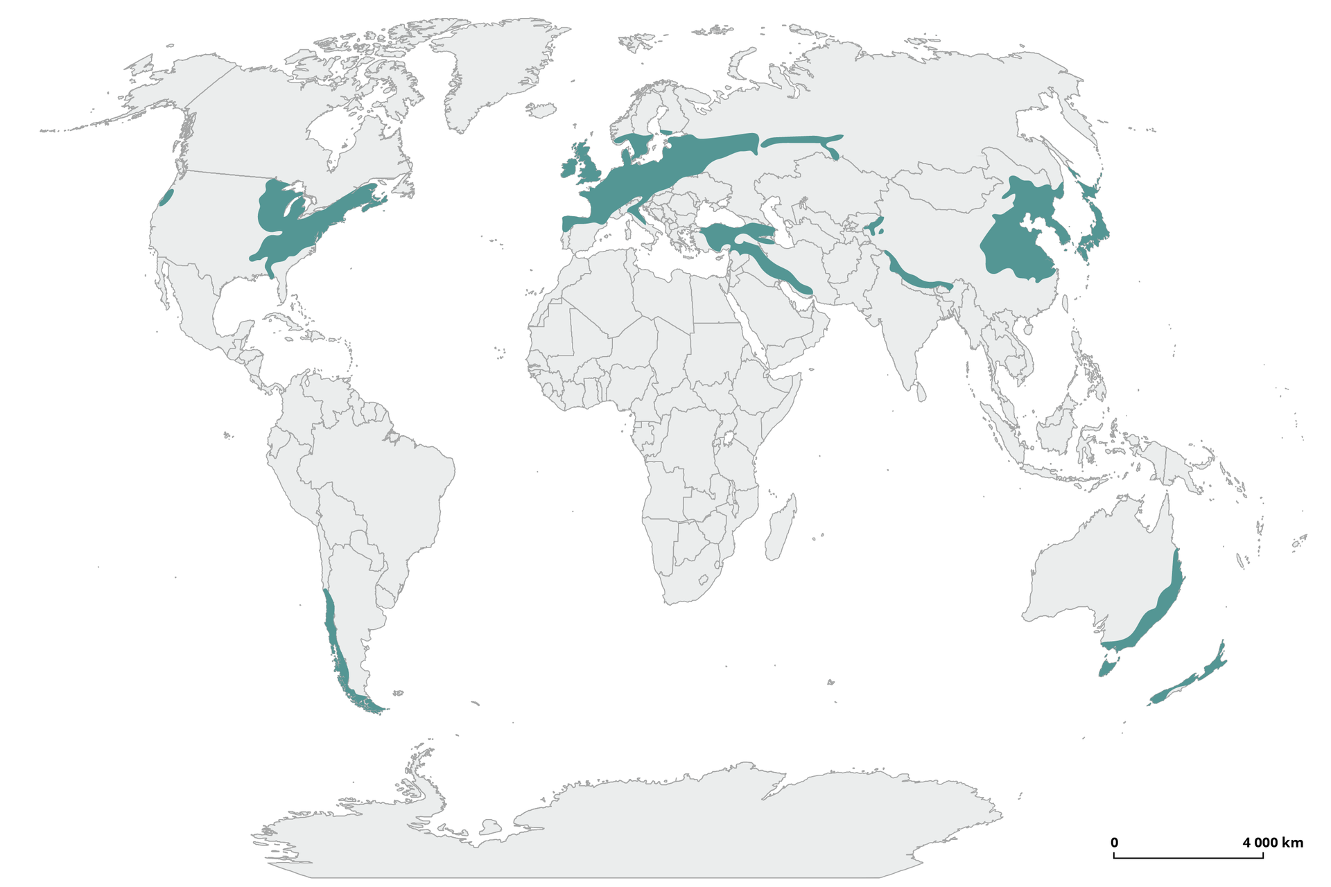 Na mapie świata zaznaczono lasy liściaste i mieszane strefy umiarkowanej. Zakreślone kolorem zostały obszary wschodniej Kanady, wschodnich i zachodnich Stanów Zjednoczonych, z Florydą łącznie, półwysep Jukatan, większość Europy Zachodniej (bez Hiszpanii, Włoch i południowych Bałkanów z Grecją). Ponadto europejska część Rosji, większość Turcji oprócz Azji Mniejszej, a także teren Korei, Japonii, północno‑wschodnich Chin. Od południa kuli ziemskiej patrząc, lasy liściaste i mieszane strefy umiarkowanej zaznaczono na południowym krańcu Ameryki Południowej, w całej Nowej Zelandii, Tasmanii, na południowo‑wschodnim wybrzeżu Australii.