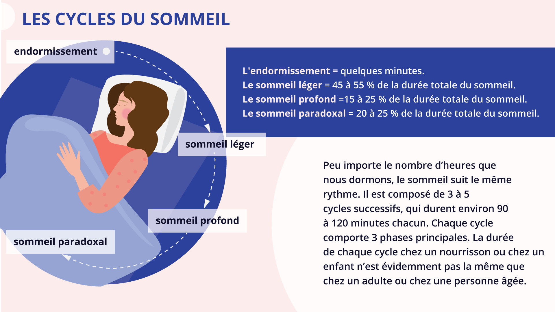 Grafika zatytułowana jest LES CYCLES DU SOMMEIL. Z lewej strony znajduje się grafika kobiety śpiącej w łóżku. Wokół obrazka znajdują się informacje tekstowe połączone strzałkami: endormissement strzałka sommeil léger strzałka sommeil profond strzałka sommeil paradoxal. Z prawej strony znajdują się dwie ramki z tekstem.  Ramka pierwsza. L'endormissement = quelques minutes.
Le sommeil léger = 45 à 55 % de la durée totale du sommeil. Le sommeil profond =15 à 25 % de la durée totale du sommeil. Le sommeil paradoxal = 20 à 25 % de la durée totale du sommeil.Ramka druga. Peu importe le nombre d'heures que nous dormons, le sommeil suit le même rythme. Il est composé de 3 à 5 cycles successifs, qui durent environ 90 à 120 minutes chacun. Chaque cycle comporte 3 phases principales. La durée de chaque cycle chez un nourrisson ou chez un enfant n'est évidemment pas la même que chez un adulte ou chez une personne âgée.