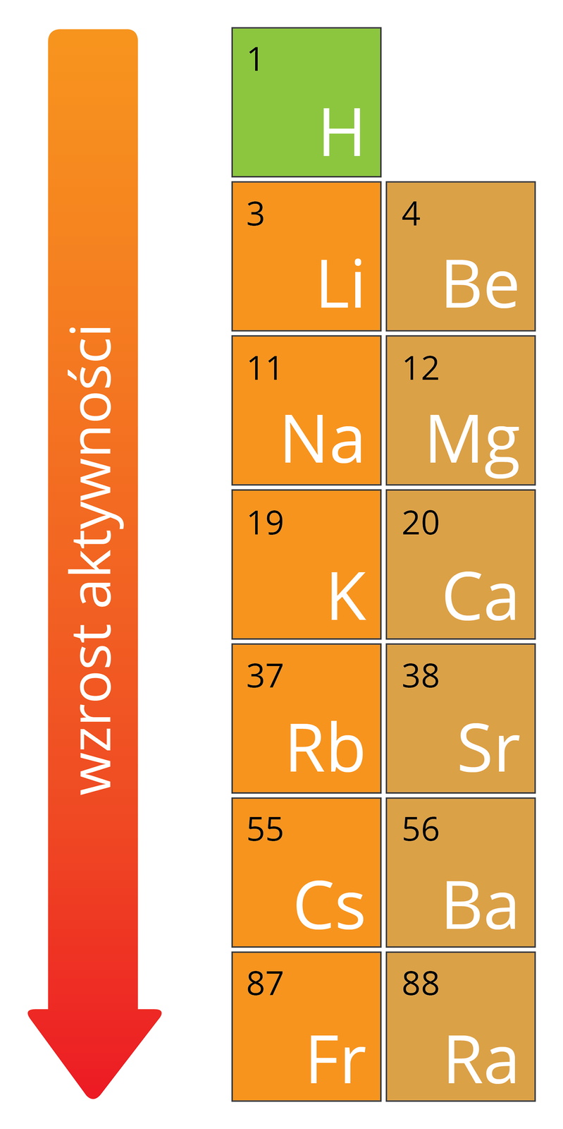 Ilustracja przedstawia dwie pierwsze grupy układu okresowego: w lewej kolumnie: wodór, zaznaczony na zielono, lit sód potas, rubid, cez i frans zaznaczone na pomarańczowo, a w drugiej kolumnie zaznaczone na beżowo: beryl, magnez, wapń, stront, bar, rad. po lewej stronie kolumn znajduje się strzałka skierowana w dół podpisana: wzrost aktywności.