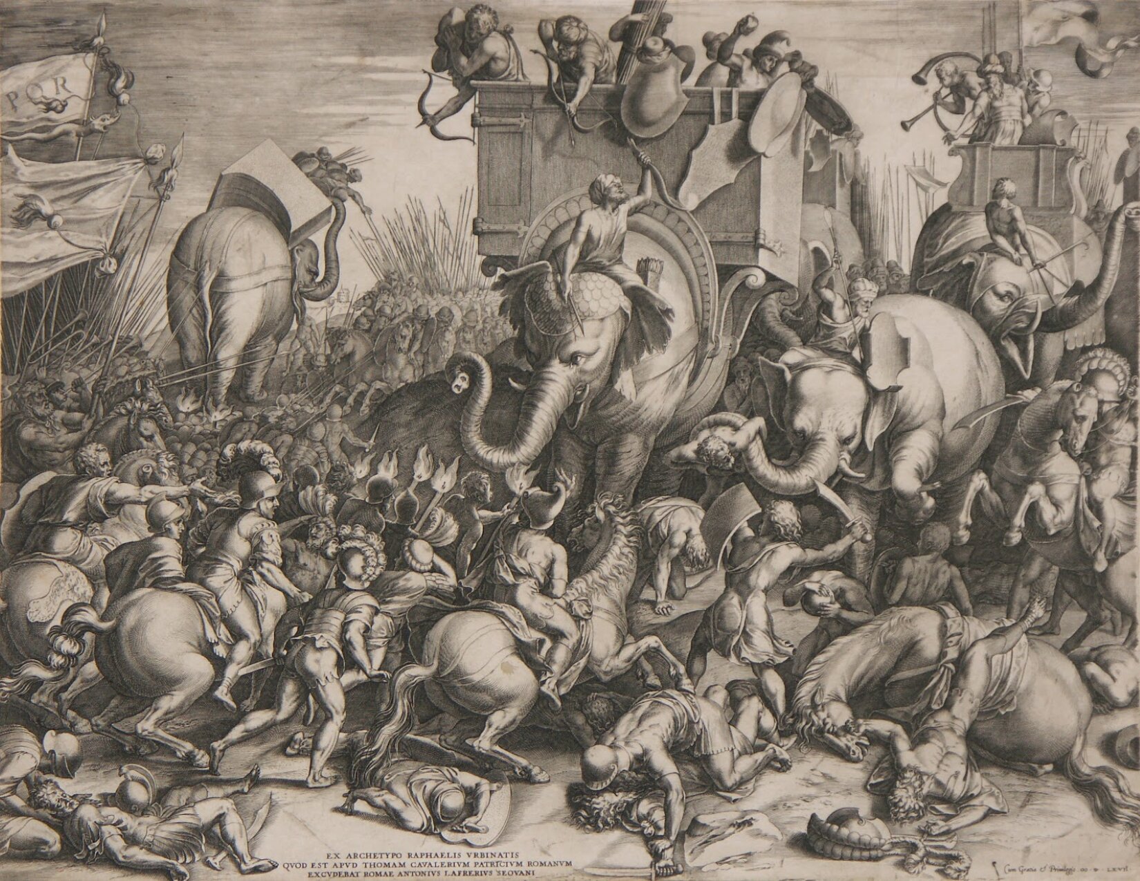 Czarno-biała ilustracja autorstwa Cornelisa Corta pod tytułem „Bitwa pod Zamą” przedstawia scenę, w której to oddziały armii rzymskiej napierają na broniące się wojska kartagińskie. Na pierwszym planie autor umieścił walczącą z wojskami nieprzyjaciela rzymską jazdę konną wspieraną przez piechotę. Kartagińczycy wyposażeni byli w piechotę i słonie bojowe, do których przymocowano duże kosze służące do przewożenia łuczników. Rzymscy żołnierze próbują bezskutecznie odstraszyć zwierzęta za pomocą pochodni i włóczni. Na drugim planie można zauważyć inną grupę rzymskich żołnierzy walczących ze słoniem za pomocą włóczni. Na podłożu widoczni są leżący ludzie oraz konie, polegli w walce. Z lewej strony widoczne są uniesione chorągwie bojowe. 