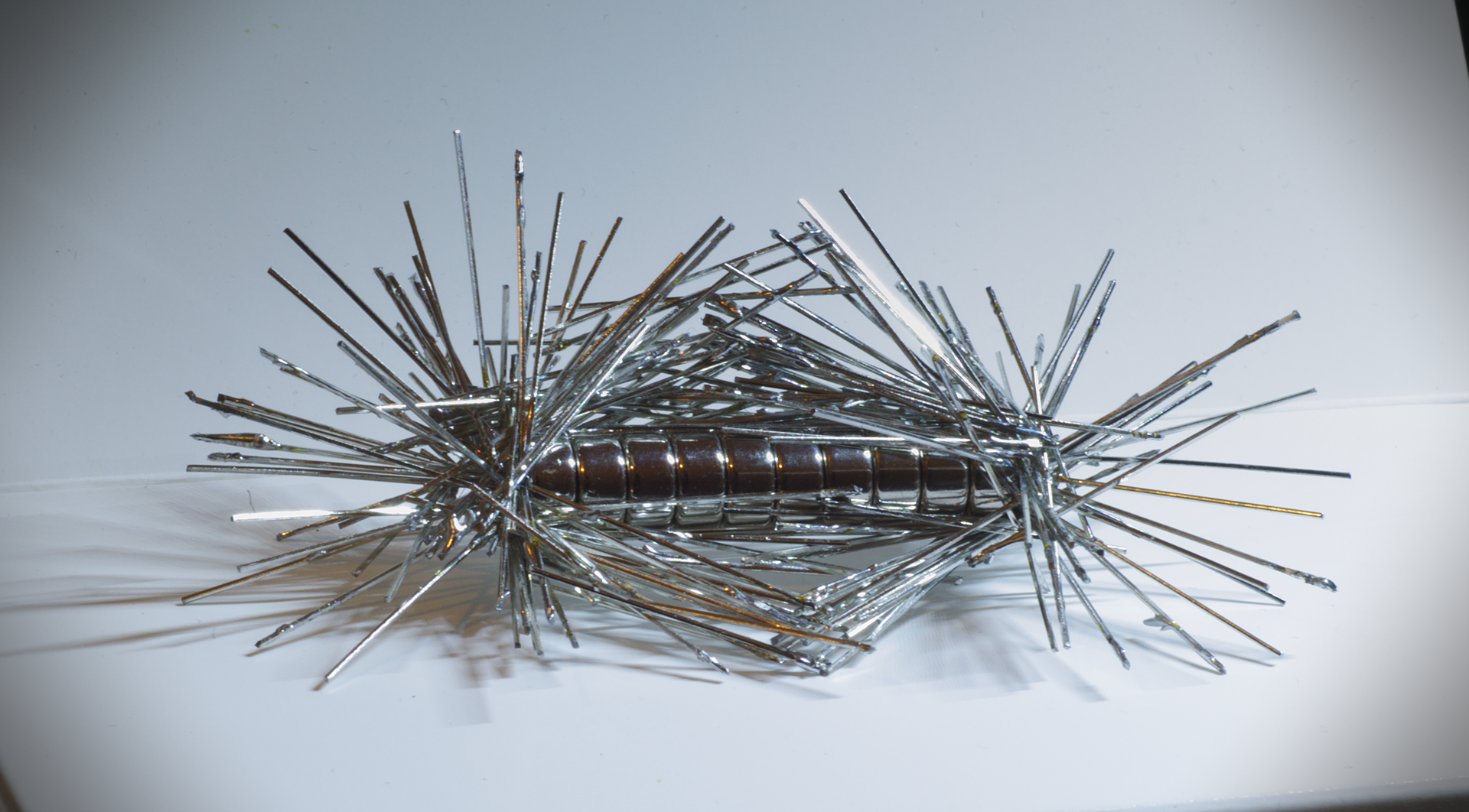 Zdjęcie drobnych przedmiotów (spinaczy, szpilek) przyciągniętych przez magnes