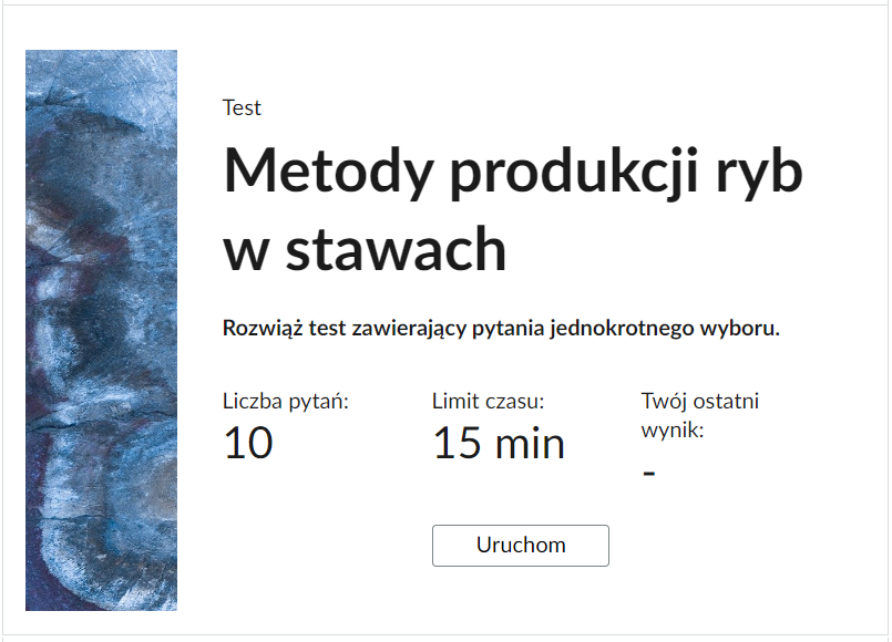Grafika przedstawia przykładowy wygląd panelu testu. Składa się on z tytułu testu, informacji o liczbie pytań, czasie, w którym należy rozwiązać test, oraz o ostatnim uzyskanym wyniku. Poniżej widać przycisk Uruchom.