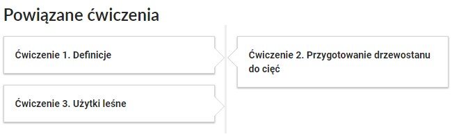 Widok przykładowego przycisku ćwiczeń powiązanych z danym multimedium. Po lewej stronie znajduje się podłużny kafelek z napisem. Ćwiczenie 1. Definicje. Po lewej stronie, poniżej znajduje się podłużny kafelek z napisem. Ćwiczenie 3. Użytki leśne. Po prawej stronie znajduje się podłużny kafelek z napisem. Ćwiczenie 2. Przygotowanie drzewostanu do cięć.