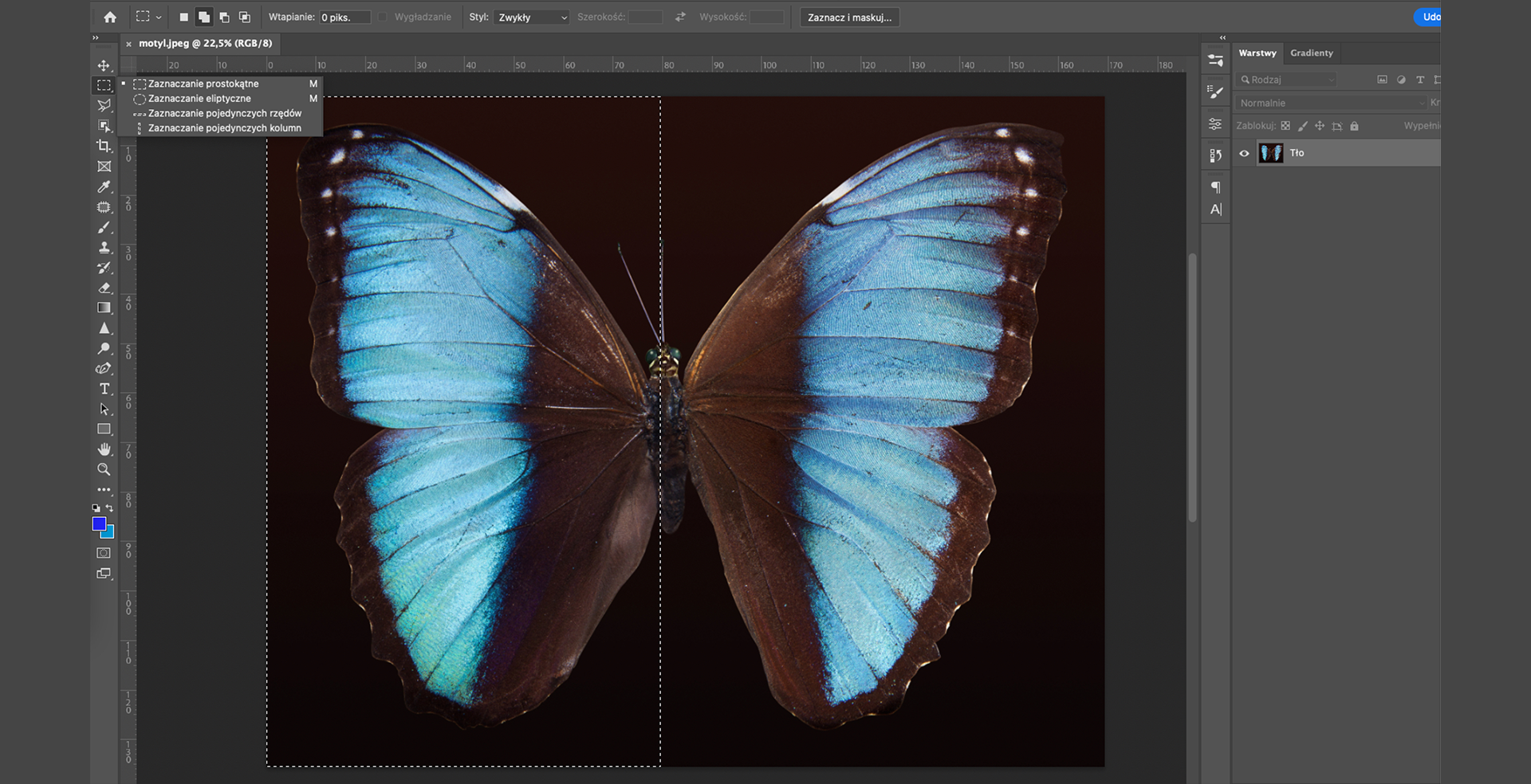 Ilustracja przedstawia okno programu. Z ikon po lewej stronie wybrano opcję: Zaznaczanie prostokątne. W obszarze roboczym jest obrazek motyla. Lewa połowa motyla jest otoczona prostokątną ramką z linii przerywanej. Po prawej stronie jest panel dotyczący warstw. Tam warstwa o nazwie Tło.