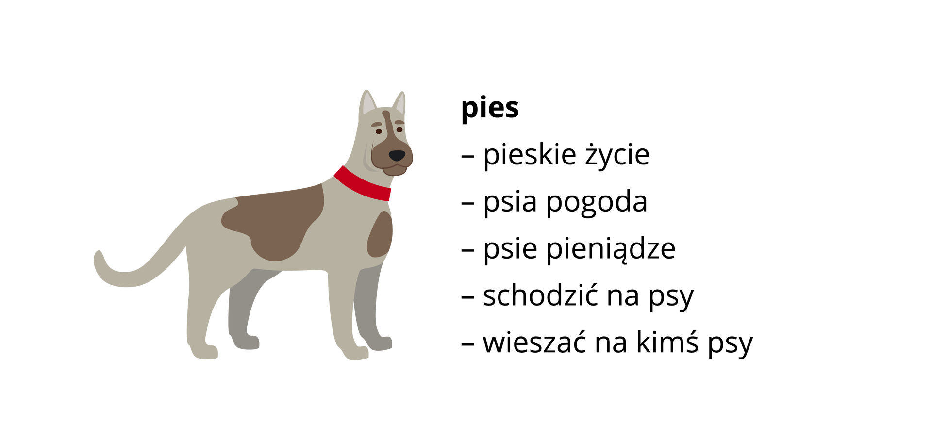 Ilustracja przedstawia psa w łaty z obrożą i postawionymi uszami. Obok wypisane są związki frazeologiczne: pies: pieskie życie, psia pogoda, psie pieniądze, schodzić na psy, wieszać na kimś psy.