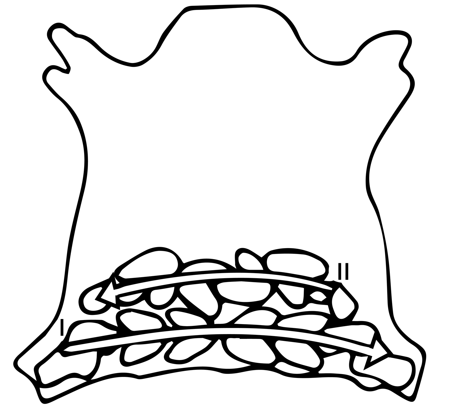 Na rysunku pokazana jest cała skóra cielęca, tak zwany boks cielęcy i zasada jej rozkroju. U dołu skóry znajdują się dwa rzędy nieregularnych kształtów przecięte strzałkami. Górna jest skierowana w lewą stronę, dolna w prawą. Strzałki na rysunku wskazują, że wycinanie elementów rozpoczyna się od lewej tylnej łapy w kierunku prawym. Następny rząd wycina się od strony prawej do lewej i tak dalej.