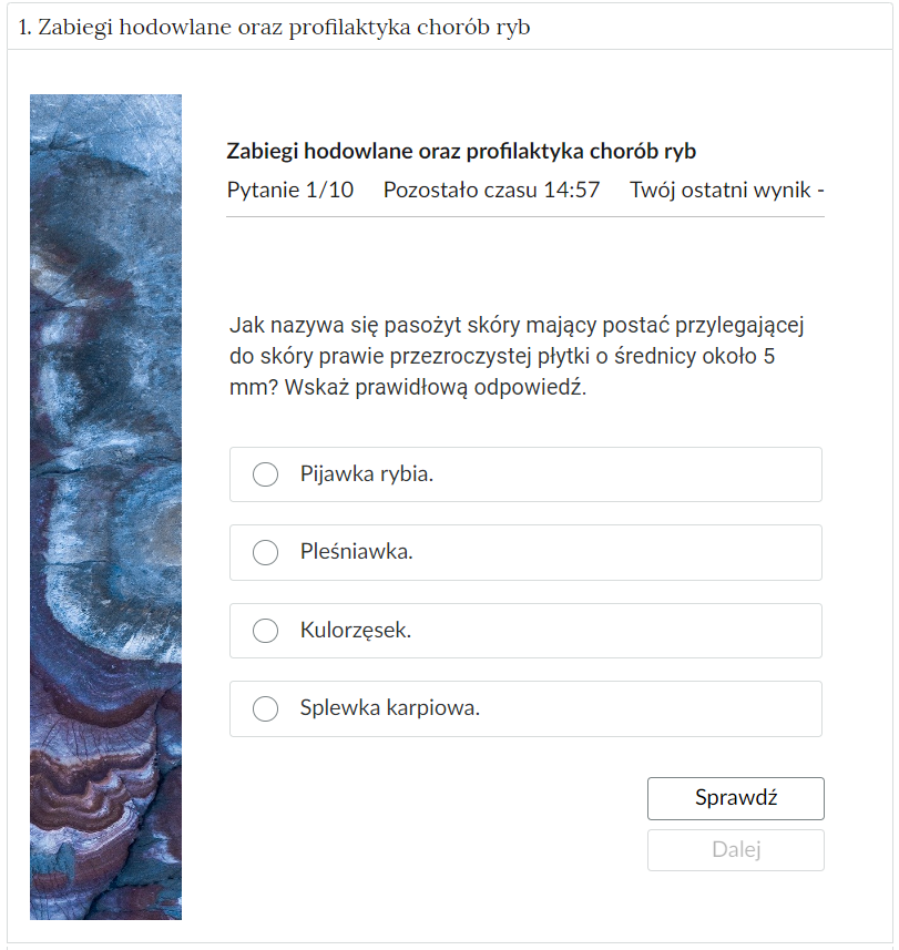 Grafika przedstawia przykładowe zadanie testowe. Ponad poleceniem widać numer pytania, czas, który pozostał na wypełnianie testu, oraz ostatni uzyskany wynik. Pod poleceniem znajdują się możliwe odpowiedzi. W prawym dolnym rogu panelu z zadaniem znajdują się dwa przyciski. Są to Sprawdź oraz Dalej.