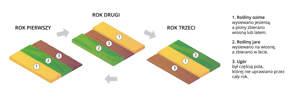 Ilustracja przedstawia schemat trójpolówki. Schemat podzielony został na trzy części według lat: rok pierwszy, drugi i trzeci. W każdym roku pole podzielone jest na trzy części. W roku pierwszym od lewej: rośliny ozime, które wysiewano jesienią, a plony zbierano wiosną lub latem, dalej rośliny jare, które wysiewano wiosną, a plony zbierano w lecie, na końcu ugór, który był częścią pola, której nie uprawiano przez cały rok. W drugim roku od lewej: rośliny jare, ugór i rośliny ozime. W trzecim roku od lewej: ugór, rośliny ozime i rośliny jare.  W kolejnym roku powrót do układu z pierwszego roku. Po prawej stronie ilustracji znajdują się opisy: 1. rośliny ozime wysiewano jesienią, a plony zbierano wiosną lub latem. 2. rośliny jare wysiewano na wiosnę, a zbierano w lecie. 3. ugór był częścią pola, której nie uprawiano przez cały rok. 