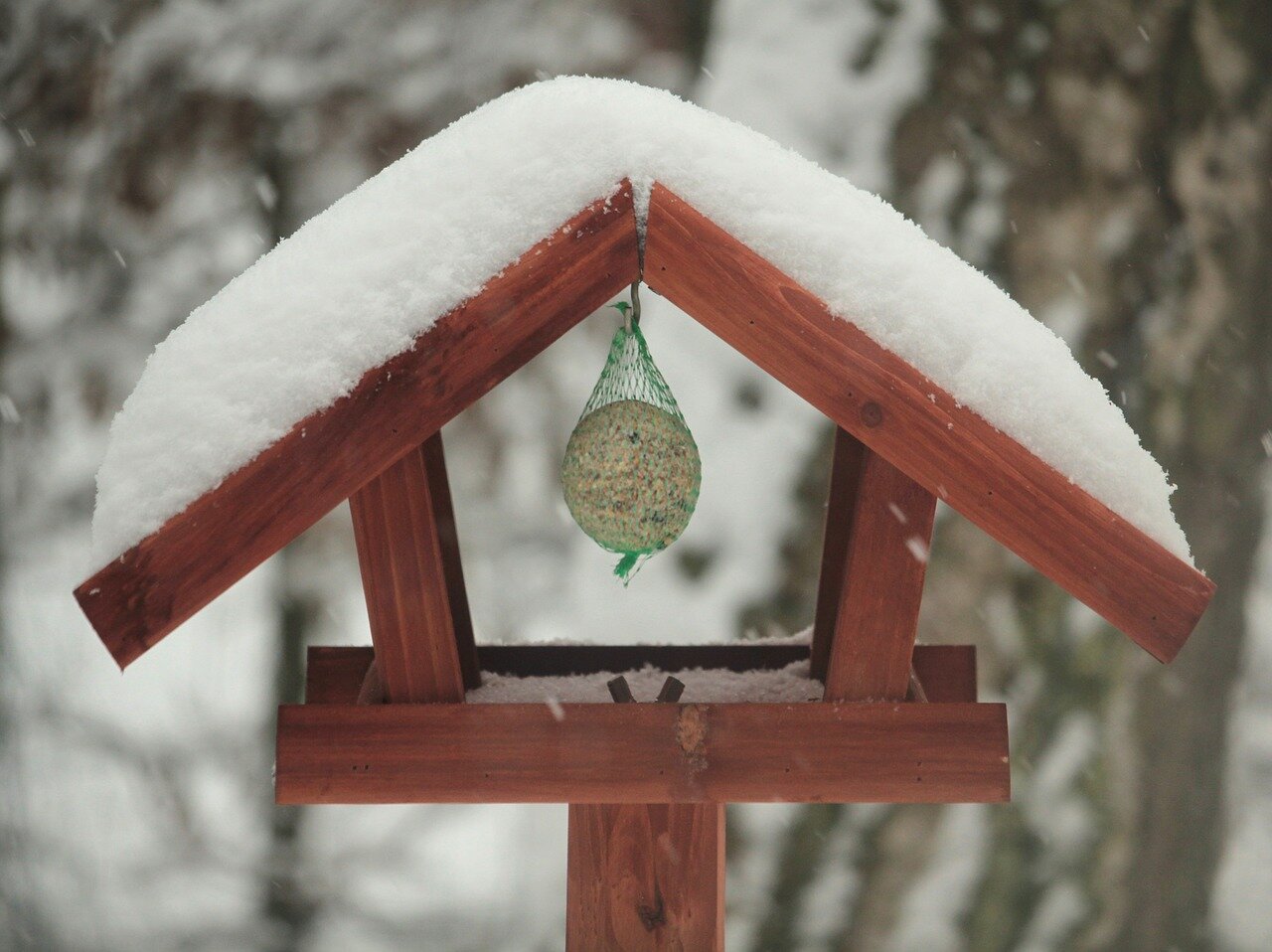 W karmniku wisi kulka z ziaren dla ptaków. Daszek karmnika przykryty jest śniegiem. 