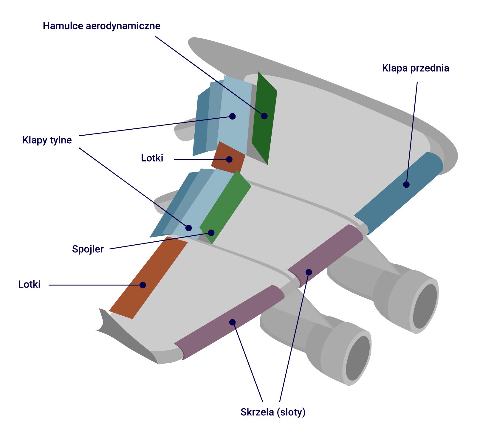 Ilustracja przedstawia elementy konstrukcyjne skrzydła samolotu. Wśród nich zaznaczono skrzela, to jest sloty, lotki, spojler, klapy tylne, klapę przednią hamulce aerodynamiczne. Na rysunku znajduje się skrzydło samolotu po skosie u góry po prawej stronie część, która łączy się z kadłubem samolotu. W przedniej części skrzydła zamontowane są dwa silniki. Od wewnętrznej strony ku środkowej części skrzydła znajduje się klapa przednia. Z kolei w środkowej i zewnętrznej części zamontowane są skrzela, czyli sloty. Od wewnętrznej strony z tyłu zamontowane są kolejno hamulce aerodynamiczne i klapy tylne. Obok nich, idąc ku środkowi tylnej części skrzydła znajdują się lotki, dalej kolejno spojler, pod którym rozmieszczone są klapy tylne, zaś po zewnętrznej stronie z tyłu skrzydła lotki.