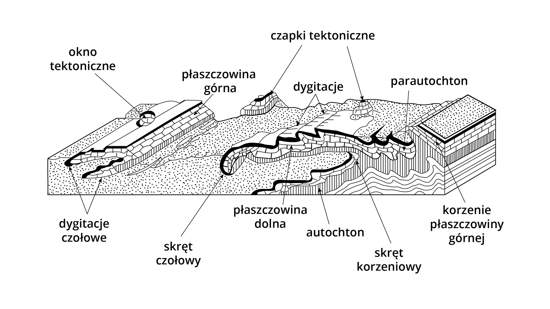 Schemat prezentuje płaszczowiny i ich elementy. Na schemacie jest fragment nierównej powierzchni. Wyróżniono okno tektoniczne - to forma otworu na powierzchni terenu, płaszczowinę górną - zaznaczono warstwę pod płaskim podłużnym wzniesieniem. Płaszczowina dolna - to warstwa znajdująca się pod pofałdowaną powierzchnią, na zboczu. Czapki tektoniczne - wystające elementy powierzchni. Skręt czołowy - zawinięty, wypukły fragment przedniej części fałdu. Skręt korzeniowy - zawinięty, wklęsły fragment fałdu. Autochton - nisko położona warstwa skały pod fałdem. Parautochton – warstwa pod powierzchnią płaszczowiny, fałdu. Dygitacje czołowe - fragment płaszczowiny, zwłaszcza jej części czołowej, mający postać łuski. Korzenie płaszczowiny górnej - warstwa pod górną powierzchnią płaszczowiny.    