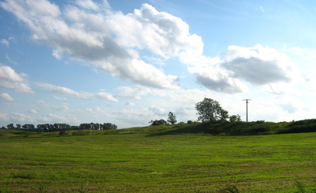 Zdjęcie przedstawia płaski teren porośnięty trawą. Po prawej stronie zdjęcia jest niski wał porośnięty trawą. Gdzieniegdzie rosną na nim drzewa.   