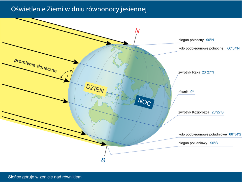 Ilustracja przedstawia kulę ziemską. Powierzchnię kuli pokrywają południki i równoleżniki. Kontynenty obrysowane niebieskim konturem. Przez środek kuli ziemskiej przebiega pionowa oś Ziemi. Nad biegunem północnym litera N, poniżej południowego litera S. Lewa półkula oświetlona żółtymi promieniami słonecznymi. Napis: dzień. Prawa półkula w cieniu. Napis: noc. Na dole, pozioma linia wskazuje biegun południowy. Opis 90 stopni szerokości geograficznej południowej. Powyżej równoleżnik – koło podbiegunowe południowe. Opis 66 stopni i 33 minuty szerokości geograficznej południowej. Powyżej zwrotnik Koziorożca 23 stopnie i 27 minut szerokości geograficznej południowej. Dokładnie w połowie równik. Zero stopni. Powyżej na półkuli północnej zwrotnik Raka 23 stopnie i 27 minut szerokości geograficznej północnej. Najwyżej to poziomy równoleżnik przechodzący przez koło podbiegunowe północne 66 stopni i 33 minuty szerokości geograficznej północnej. Na samej górze kuli ziemskiej biegun północny. 90 stopni szerokości geograficznej północnej. Promienie słoneczne tworzą z powierzchnią Ziemi na równiku kąt prosty. U góry grafiki na niebieskim tle napis: Oświetlenie Ziemi w dniu równonocy jesiennej. Na dole podpis: Słońce góruje w zenicie nad równikiem.