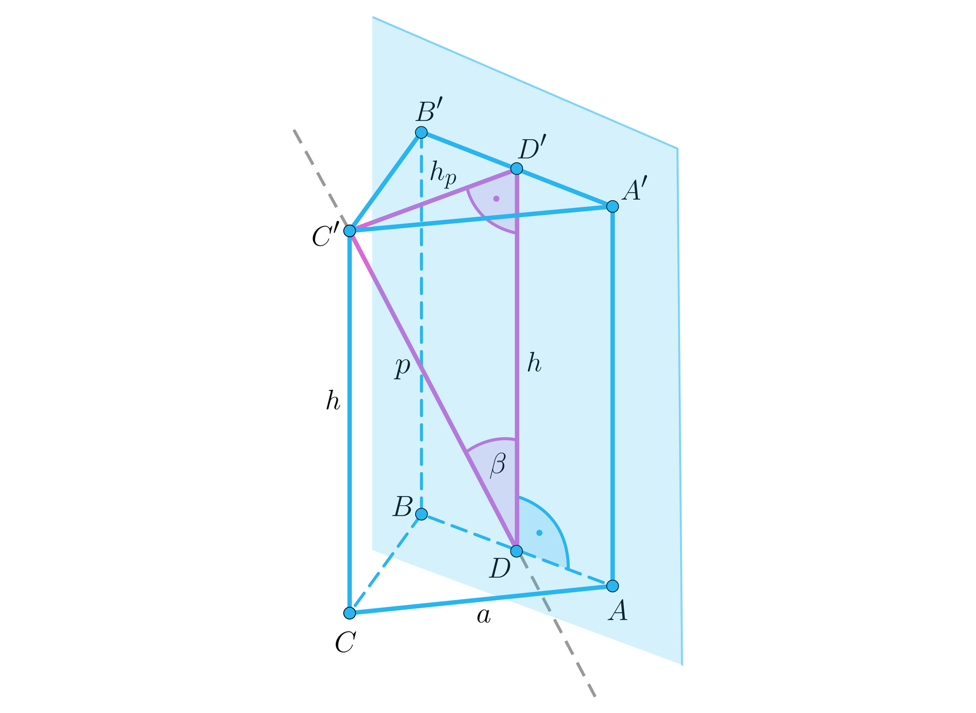 Ilustracja przedstawia graniastosłup prawidłowy trójkątny, wierzchołki dolnej podstawy to A B C, wierzchołki górnej podstawy to A' B' C'. Ściana boczna A B B'  C' leży w płaszczyźnie zaznaczonej na rysunku. Krawędź podstawy ma długość a.W podstawie A' B' C' linią przerywaną zaznaczono wysokość hp opuszczoną z wierzchołka C' na podstawę A' B', spodek tej wysokości podpisano literą D'. Na krawędzi AB pod punktem D' zaznaczono punkt D. Odcinek D  D' jest pod kątem prostym do krawędzi AB i podpisano go literą h. Przez wierzchołek C' i punkt D linią przerywaną poprowadzono prostą. Fragment prostej należący do ostrosłupa podpisano literą p. Kąt C'DD' podpisano literą beta. Wierzchołki C' D C' tworzą trójkąt prostokątny, w którym przyprostokątnymi są krawędź boczna graniastosłupa h i wysokość podstawy  hp, a przeciwprostokątną jest odcinek p.