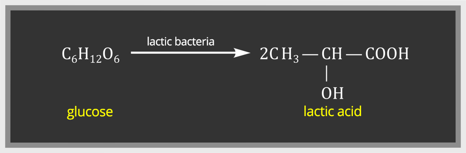 Proces fermentacji mleka ma dwa etapy: Pierwszy etap to hydroliza disacharydu (laktozy) zawartego w mleku na cukry proste, w drugim etapie powstaje kwas mlekowy. Równanie ma postać: c sześć ha dwanaście o sześć pod spodem napis glucose strzałka w prawo, nad nią napis lactic bacteria daje dwa c ha trzy połączone wiązaniem pojedynczym z c ha, od c ha wiązanie pojedyncze w dół do grupy o ha, od c ha wiązanie pojedyncze w prawo do grupy c o o ha, pod wzorem napis lactic acid.