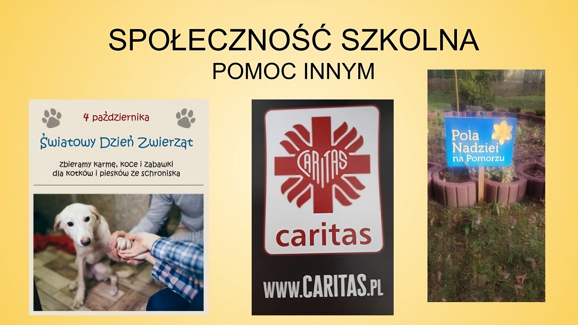 Slajd zatytułowany: Społeczność szkolna. Pomoc innym. Znajdują się na nim trzy zdjęcia. Pierwsze , po lewej stronie ukazuje psa, który podaję lapę trzem osobom. Nad fotografią psa widać napis: "4 października. Światowy Dzień Zwierząt. Zbieramy karmę, koce i zabawki dla kotków i piesków ze schroniska". Drugie zdjęcie, znajdujące się na środku slajdu przedstawia logo Caritas: czerwony krzyż z białym napisem "CARITAS". Pod krzyżem umieszczony został napis "caritas". Logo znajduje się na czarnym tle. Na dole zdjęcia widać napis: "www.caritas.pl". Trzecie zdjęcie przedstawia klomby z kwiatami, przy których wbita jest tabliczka z napisem: "Pola Nadziei na Pomorzu".