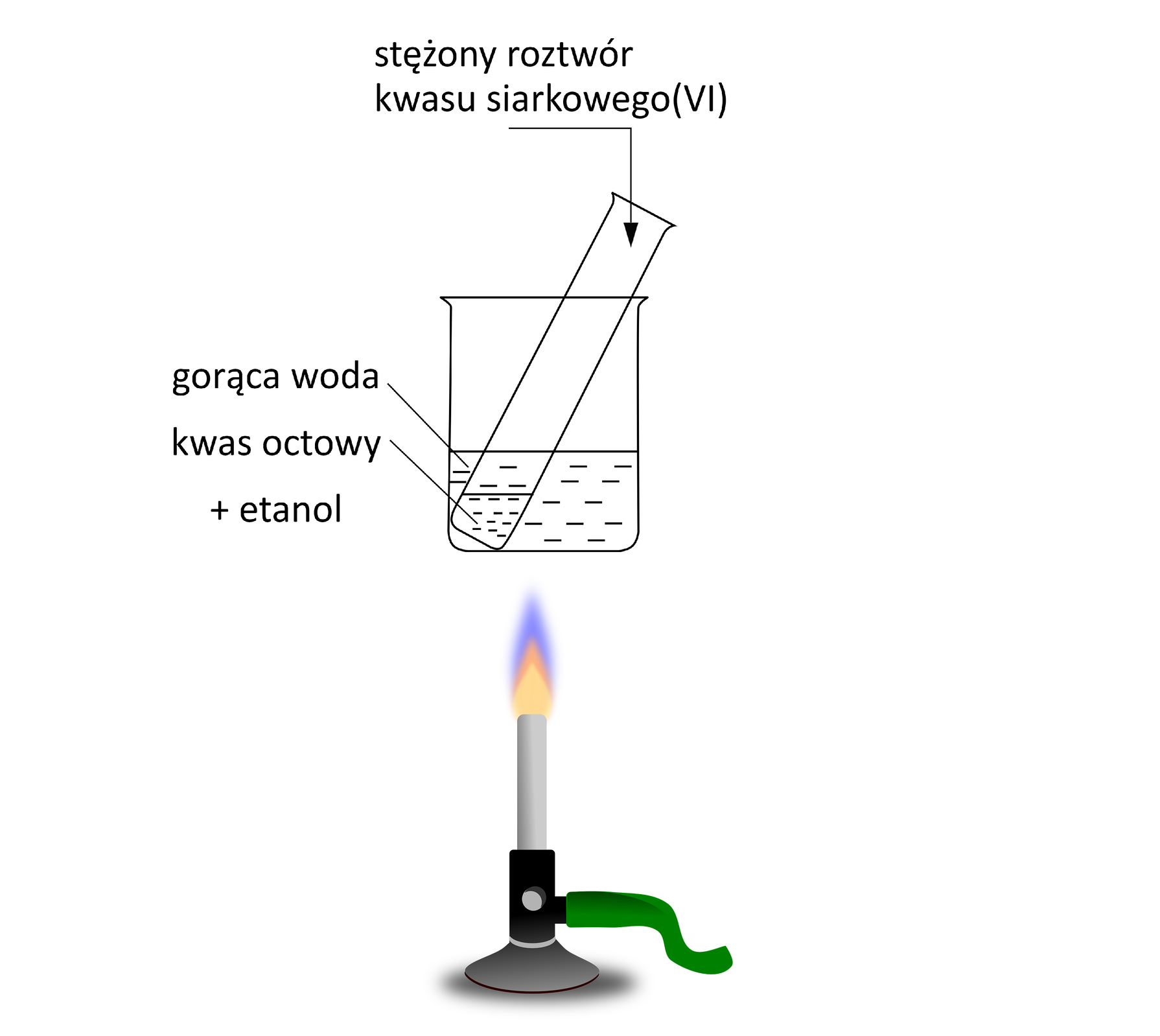 Schemat doświadczenia, w którym przeprowadzono reakcję kwasu octowego z etanolem. W zlewce z gorącą wodą znajduje się probówka z kwasem octowym oraz etanolem. Do probówki dodano roztwór stężonego kwasu siarkowego(<math aria‑label="sześć">VI). Pod zlewką znajduje się płomień palnika.  