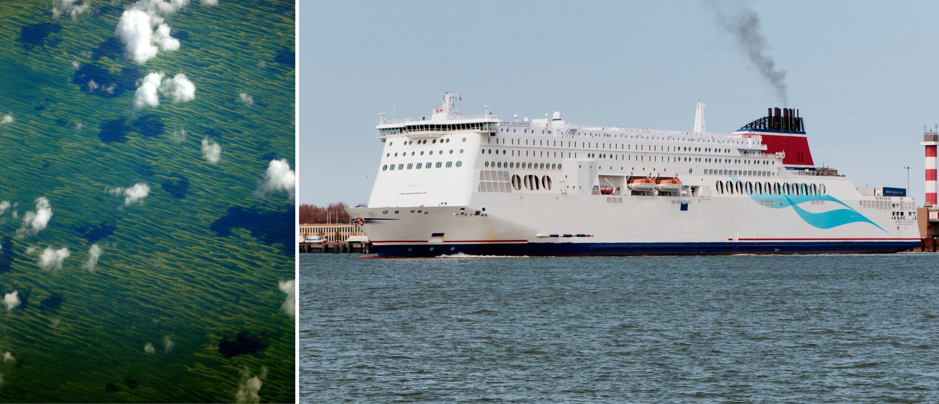 Ilustracja składa się z dwóch zdjęć. Z lewej strony powierzchnia morza sfotografowana z powietrza ujawnia duże zielone obszary zdradzające objawy masowego przyrostu sinic. O dużej wysokości z jakiej wykonano zdjęcie świadczy obecność w kadrze chmur rzucających cienie na powierzchnię morza. Na fotografii po prawej duży biały prom pasażerki przy wyjściu z portu.