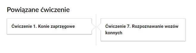 Grafika przedstawia przykładowe przyciski powiązanych ćwiczeń z danym multimedium. Przedstawiono dwa kafelki. Pierwszy kafelek zawiera napis: Ćwiczenie pierwsze. Konie zaprzęgowe. Drugi kafelek zawiera napis: Ćwiczenie siódme. Rozpoznawanie wozów konnych.