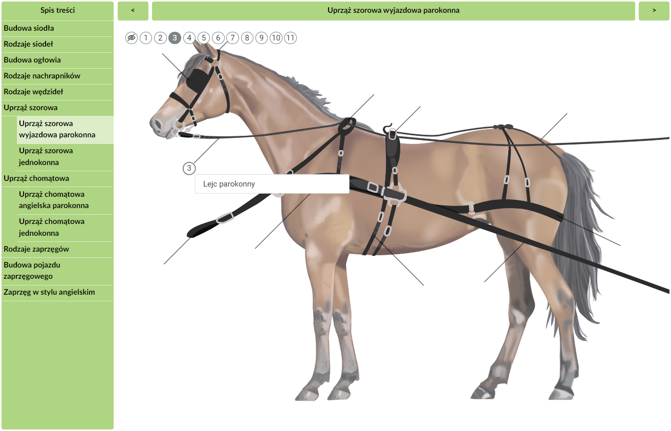Grafika przedstawia przykładowy widok atlasu interaktywnego zawierającego interaktywne plansze. Po lewej stronie w rubryce znajduje się spis treści. Przedstawiono w nim tytuły katalogów zawartych w danym atlasie. Po prawej stronie ekranu widoczny jest tytuł wybranego katalogu. Na środku ekranu znajduje się plansza interaktywna przedstawiająca uprząż szorową wyjazdową parokonną. Na planszy umieszczono kilka punktów. Naciśnięcie wybranego punktu powoduje wyświetlenie ramki z tekstem opisującym wskazany fragment ilustracji. 