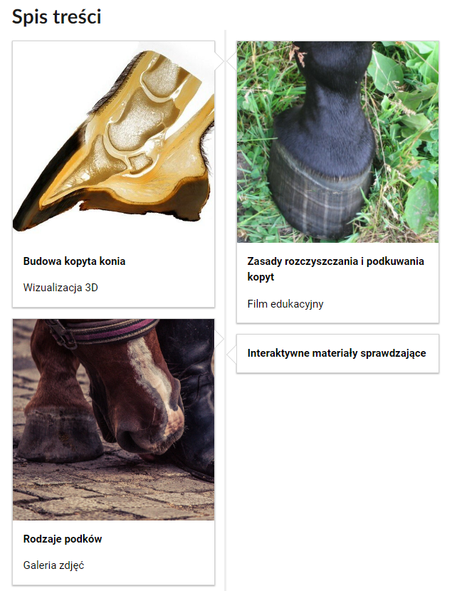 Grafika przedstawia przykładowy widok spisu treści. Widoczny jest napis: Spis treści. Poniżej znajdują się cztery kafelki. Pierwszy kafelek. Budowa kopyta konia. Wizualizacja 3D. Drugi kafelek. Rodzaje podków. Galeria zdjęć. Trzeci kafelek.Zasady rozczyszczania i podkuwania kopyt. Film edukacyjny. Czwarty kafelek. Interaktywne materiały sprawdzające.