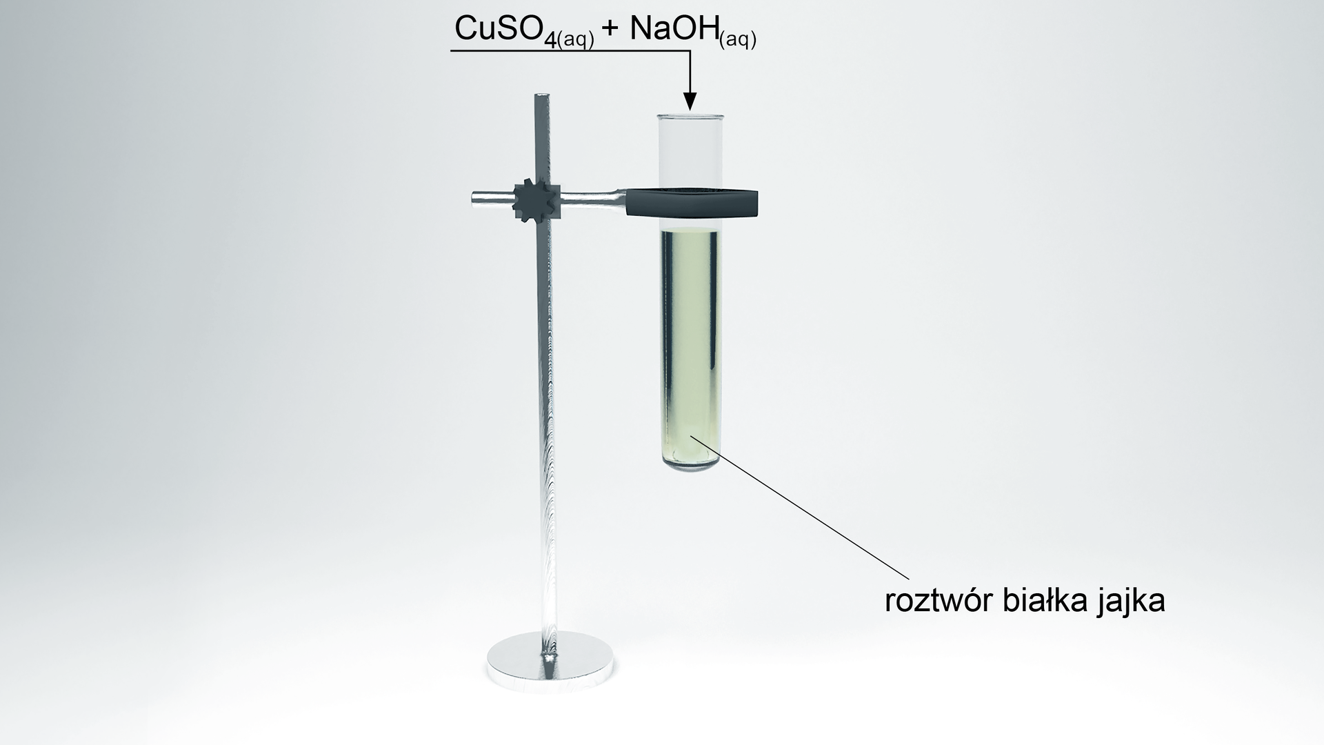 Schemat doświadczenia składający się z probówki umieszczonej w łapie zamontowanej na statywie. W probówce znajduje się roztwór białka jaja kurzego. Do wnętrza probówki skierowana jest strzałka, nad którą znajduje się zapis: wodny roztwór CuSO4 dodać wodny roztwór NaOH.