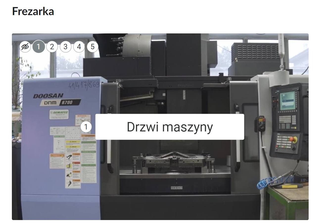 Przykładowy wygląd zdjęcia z atlasu.