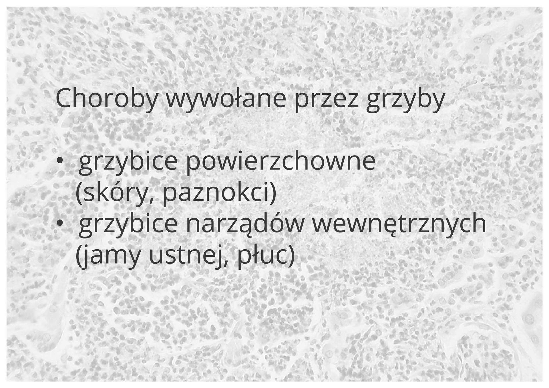 Grafika przedstawia zawiera następujący tekst: Choroby wywoływane przez grzyby: grzybice powierzchowne (skóry, paznokci), grzybice narządów wewnętrznych (jamy ustnej, płuc). W tle widać przykładowe zdjęcie komórek grzybów. Są one liczne i drobne. Zdjęcie jest szare.