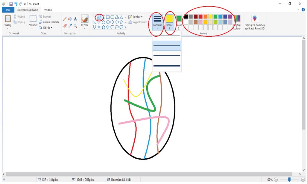 Zrzut ekranu z rozwiniętą zawartością edytora programu Paint (w tym: Obraz, Narzędzia, Kształty, Kolory). Ikonka Kształty (krzywa) oraz ikonki Rozmiar i Kolory zakreślone czerwonym kółkiem. Rozwinięty pasek Rozmiar z wyświetlonymi różnymi grubościami kresek. W edytorze narysowany owal z kolorowymi krzywymi kreskami w środku.