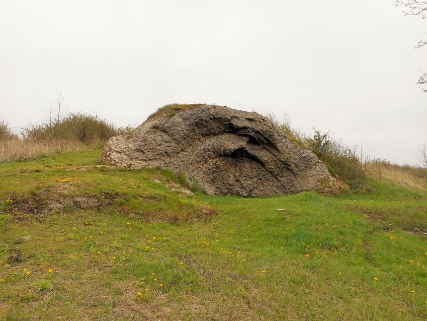 Zdjęcie przedstawia skałę w kształcie kopuły wystającą nad powierzchnię trawy. Skała jest chropowata, brązowa.  