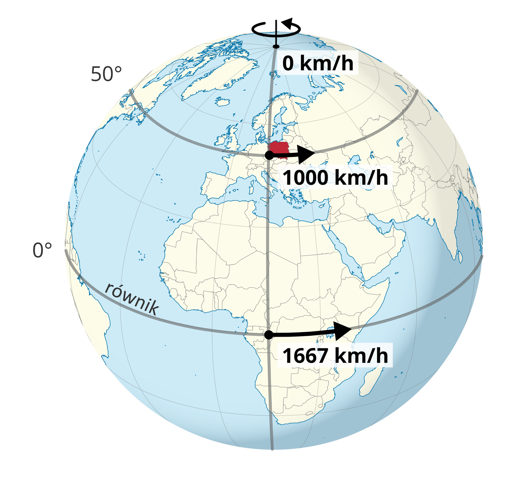 Ilustracja kuli ziemskiej, na której zobrazowano różne prędkości liniowe ruchu obrotowego Ziemi. Na równiku wynosi ona tysiąc sześćset sześćdziesiąt siedem kilometrów na godzinę, na pięćdziesiątym stopniu szerokości geograficznej północnej (przebiegającym przez Polskę) wynosi tysiąc kilometrów na godzinę, na biegunie – zero.