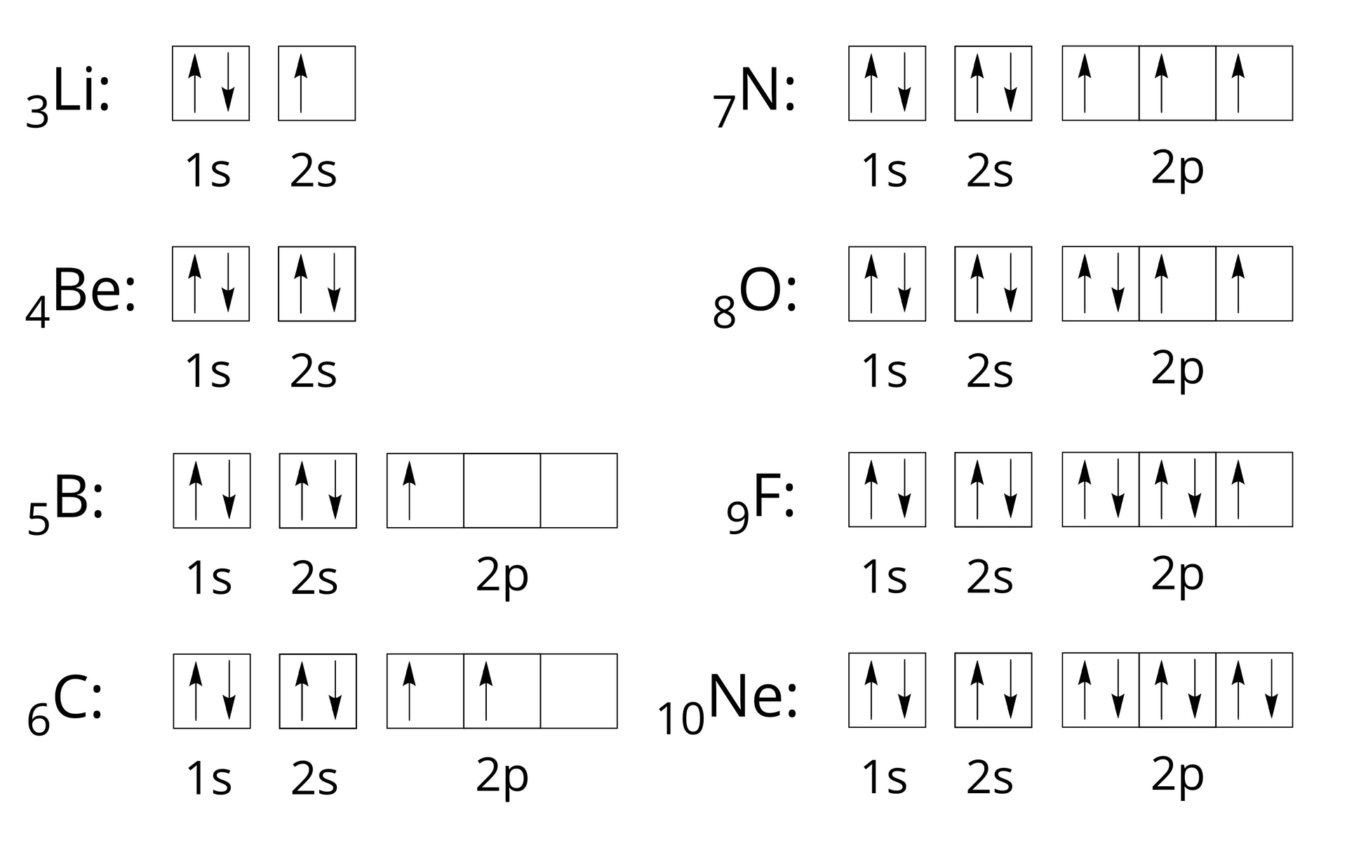 Na ilustracji ukazano rozmieszczenie elektronów w poziomach orbitalnych dla pierwiastków drugiego okresu. Konfiguracja orbitalna atomu litu: indeks dolny trzy koniec indeksu Li dwukropek dwa kwadraty. W pierwszym znajdują się dwie strzałki: jedna skierowana w górę i jedna skierowana w dół, pod spodem zapis jeden s. W drugim znajduje się jedna strzałka skierowana w górę. Pod spodem zapis dwa s. Konfiguracja orbitalna atomu berylu: indeks dolny cztery koniec indeksu Be dwukropek dwa kwadraty, w których znajdują się po dwie strzałki: jedna skierowana w górę i jedna skierowana w dół. Pod pierwszym kwadratem znajduje się zapis jeden s, a pod drugim dwa s. Konfiguracja orbitalna atomu boru: indeks dolny pięć koniec indeksu B dwukropek pięć kwadratów. W pierwszym znajdują się dwie strzałki: jedna skierowana w górę i jedna skierowana w dół, pod spodem zapis jeden s. W drugim znajdują się dwie strzałki: jedna skierowana w górę i jedna skierowana w dół, pod spodem zapis dwa s. Trzy następne kwadraty są połączone ze sobą, a w pierwszym z nich znajduje się jedna strzałka skierowana w górę. Pod spodem zapis dwa p. Konfiguracja orbitalna atomu węgla: indeks dolny sześć koniec indeksu C dwukropek pięć kwadratów. W pierwszym znajdują się dwie strzałki: jedna skierowana w górę i jedna skierowana w dół, pod spodem zapis jeden s. W drugim znajdują się dwie strzałki: jedna skierowana w górę i jedna skierowana w dół, pod spodem zapis dwa s. Trzy następne kwadraty są połączone ze sobą, a w pierwszym i drugim znajduje się po jednej strzałce skierowanej w górę. Pod spodem zapis dwa p. Konfiguracja orbitalna atomu azotu: indeks dolny siedem koniec indeksu N dwukropek pięć kwadratów. W pierwszym znajdują się dwie strzałki: jedna skierowana w górę i jedna skierowana w dół, pod spodem zapis jeden s. W drugim znajdują się dwie strzałki: jedna skierowana w górę i jedna skierowana w dół, pod spodem zapis dwa s. Trzy następne kwadraty są połączone ze sobą, a w każdym z nich znajduje się po jednej strzałce skierowanej w górę. Pod spodem zapis dwa p. Konfiguracja orbitalna atomu tlenu: indeks dolny osiem koniec indeksu O dwukropek pięć kwadratów. W pierwszym znajdują się dwie strzałki: jedna skierowana w górę i jedna skierowana w dół, pod spodem zapis jeden s. W drugim znajdują się dwie strzałki: jedna skierowana w górę i jedna skierowana w dół, pod spodem zapis dwa s. Trzy następne kwadraty są połączone ze sobą, w pierwszym z nich znajdują się dwie strzałki: jedna skierowana w górę i jedna skierowana w dół, a w pozostałych kwadratach znajduje się po jednej strzałce skierowanej w górę. Pod spodem zapis dwa p. Konfiguracja orbitalna atomu fluoru: indeks dolny dziewięć koniec indeksu F dwukropek pięć kwadratów. W pierwszym znajdują się dwie strzałki: jedna skierowana w górę i jedna skierowana w dół, pod spodem zapis jeden s. W drugim znajdują się dwie strzałki: jedna skierowana w górę i jedna skierowana w dół, pod spodem zapis dwa s. Trzy następne kwadraty są połączone ze sobą, w pierwszym i drugim z nich znajdują się po dwie strzałki: jedna skierowana w górę i jedna skierowana w dół, a w trzecim kwadracie znajduje się jedna strzałka skierowana w górę. Pod spodem zapis dwa p. Konfiguracja orbitalna atomu neonu: indeks dolny dziesięć koniec indeksu Ne dwukropek pięć kwadratów. W pierwszym znajdują się dwie strzałki: jedna skierowana w górę i jedna skierowana w dół, pod spodem zapis jeden s. W drugim znajdują się dwie strzałki: jedna skierowana w górę i jedna skierowana w dół, pod spodem zapis dwa s. Trzy następne kwadraty są połączone ze sobą, a w każdym z nich znajdują się po dwie strzałki: jedna skierowana w górę i jedna skierowana w dół. Pod spodem zapis dwa p. 