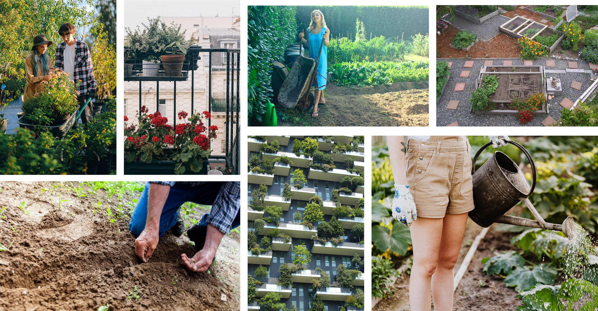 Ilustracja to kolaż złożony z siedmiu zdjęć. Pierwsze ukazuje chłopaka i dziewczynę, którzy przewożą na taczce rośliny doniczkowe. Na drugim zdjęciu widoczny jest balkon, na którym stoją donice z roślinami kwitnącymi.Trzecie pokazuje mężczyznę, który wysiewa nasiona do ziemi. Na czwartym zdjęciu dziewczyna z taczką, która stoi w ogrodzie, gdzie na grządkach rosną różne rośliny. Piąte zdjęcie prezentuje zaplanowane i wyznaczone rabaty oraz klomby w ogrodzie. Szóste przedstawia ścianę z umieszczonymi pojemnikami, w których rosną rośliny. Na siódmym zdjęciu dziewczyna podlewa rośliny z konewki.
