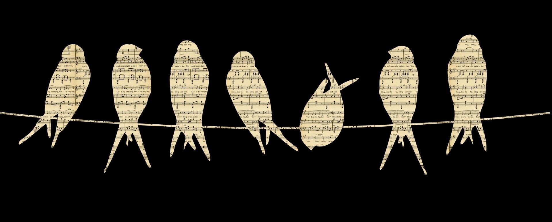 Na ilustracji strona z zapisanymi na pięciolinii nutami. Jest przykryta czarnym szablonem, w którym wycięto kształty siedmiu ptaków siedzących na drucie wysokiego napięcia. Są to prawdopodobnie jaskółki, gdyż mają długie pióra przy skrzydłach. Trzeci ptak od lewej patrzy w dół, pozostałe siedzą wyprostowane. 