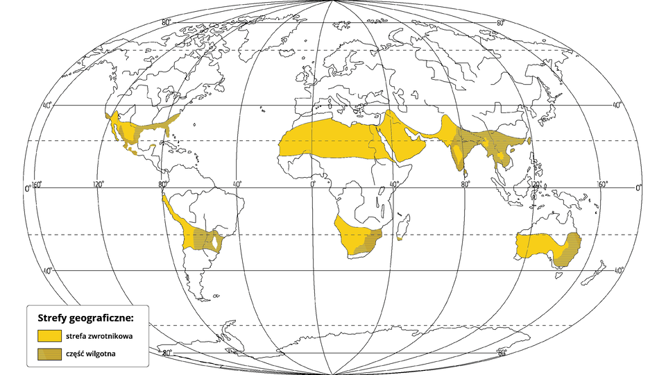 Na mapie świata zaznaczono strefę zwrotnikową z częścią wilgotną. Część zwrotnikowa obejmuje północną część Meksyku, południowo‑wschodnie krańce Stanów Zjednoczonych (między innymi Florydę), północną Afrykę bez wybrzeża śródziemnomorskiego, Półwysep Arabski i Bliski Wschód, Półwysep Indyjski i Indochiński, środkowy pas Ameryki Południowej (w tym wąski pas wybrzeża pacyficznego sięgający od 30 stopnia szerokości geograficznej południowej aż w okolice równika), południową Afrykę (bez samego południowego krańca kontynentu) oraz większą część Australii (bez północnych i południowych krańców kontynentu). Część wilgotną zaznaczono w południowej części USA z Florydą włącznie, środkowy pas w Meksyku, środkowowschodnią część Ameryki Południowej, wschodnią część południowych obszarów Afryki, znaczną część Indii - szczególnie północno‑wschodnią oraz niemal cały Półwysep Indochiński, a także południowo‑wschodnią część Australii.    