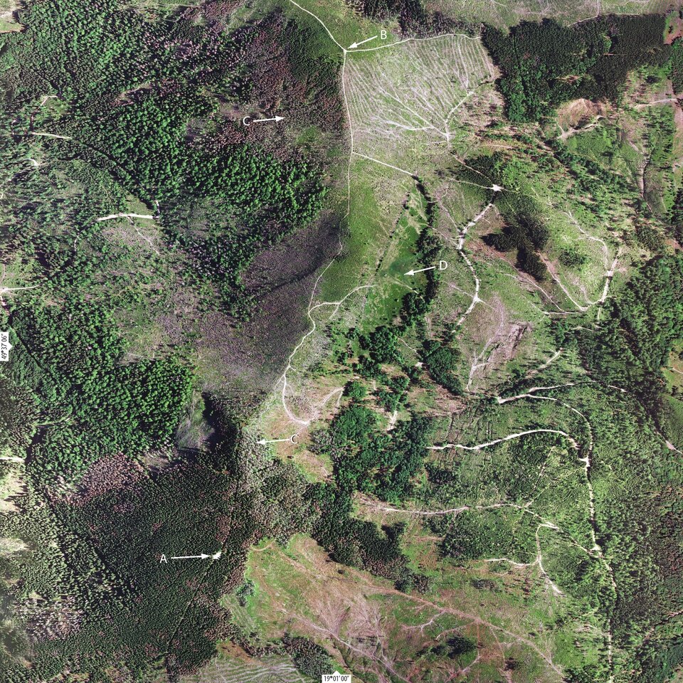 Ilustracja przedstawia zdjęcie satelitarne na krajobraz Beskidu Śląskiego, widoczne są na nim lasy, pola, łąki, nieregularno biegnące drogi. Na zdjęciu strzałkami i literami oznaczono miejsca opisane w tekście powyżej zdjęcia. Literą C oznaczono martwe stojące drzewa , literą D pastwiska na Hali Baraniej, literą A szczyt Baraniej Góry, a literą B skrzyżowanie dwóch szlaków turystycznych.