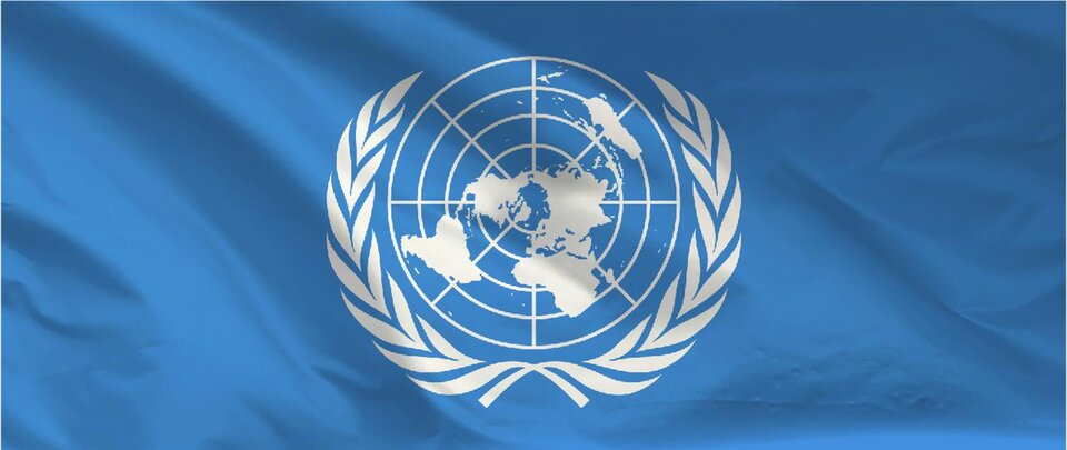 Flaga składa się z oficjalnego białego emblematu umieszczonego centralnie na jasnoniebieskim tle. Godło przedstawia mapę świata w rzucie azymutalnym równokątnym, zorientowaną na biegun północny, otoczoną dwoma gałązkami oliwnymi.