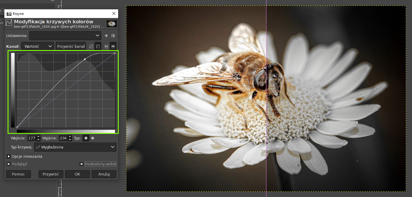 Ilustracja przedstawia okno programu. Po lewej stronie okna jest panel dotyczący Modyfikacji krzywych kolorów. Wyróżniono ramką Kanał, tam wykres z krzywą, która się wznosi. Wykres otoczono zieloną ramką. Na zdjęciu w obszarze roboczym okna jest pszczoła siedząca na białym kwiatku. Przez środek zdjęcia pionowo poprowadzono linię. Zdjęcie po lewej stronie linii jest wyraźne, prawa część zdjęcia ma nieco przygaszone kolory, szare tło.   
